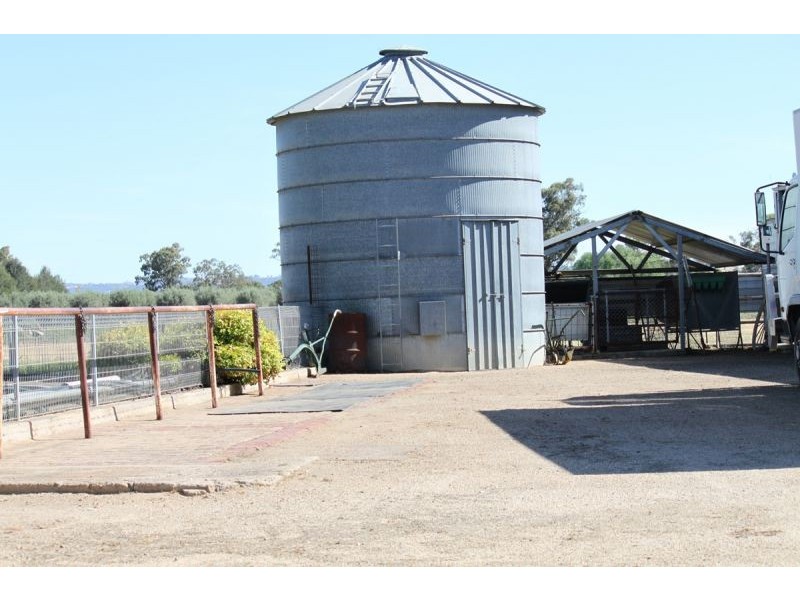 7 Pioneer Avenue, Gumly Gumly, Wagga Wagga NSW 2650