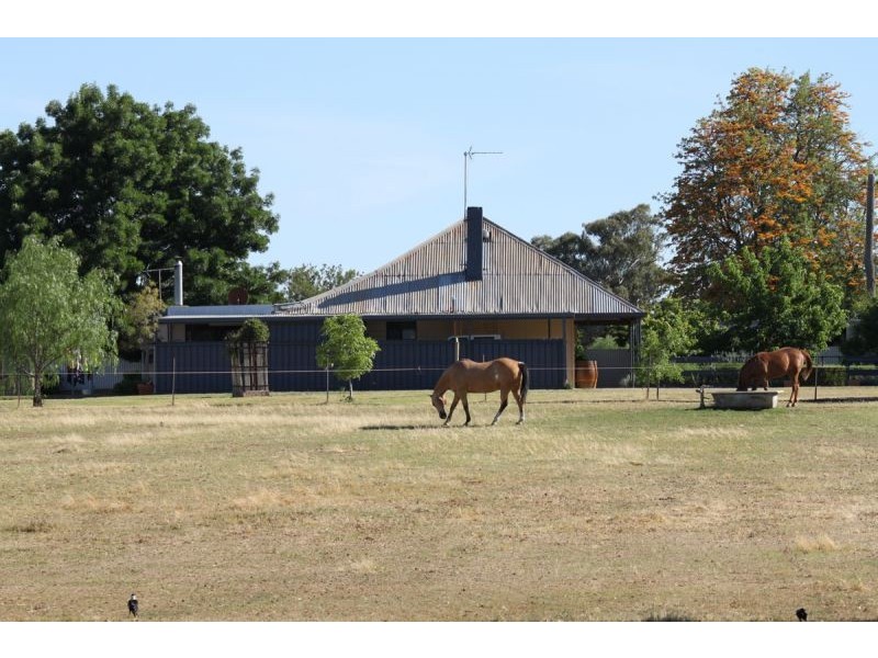 7 Pioneer Avenue, Gumly Gumly, Wagga Wagga NSW 2650