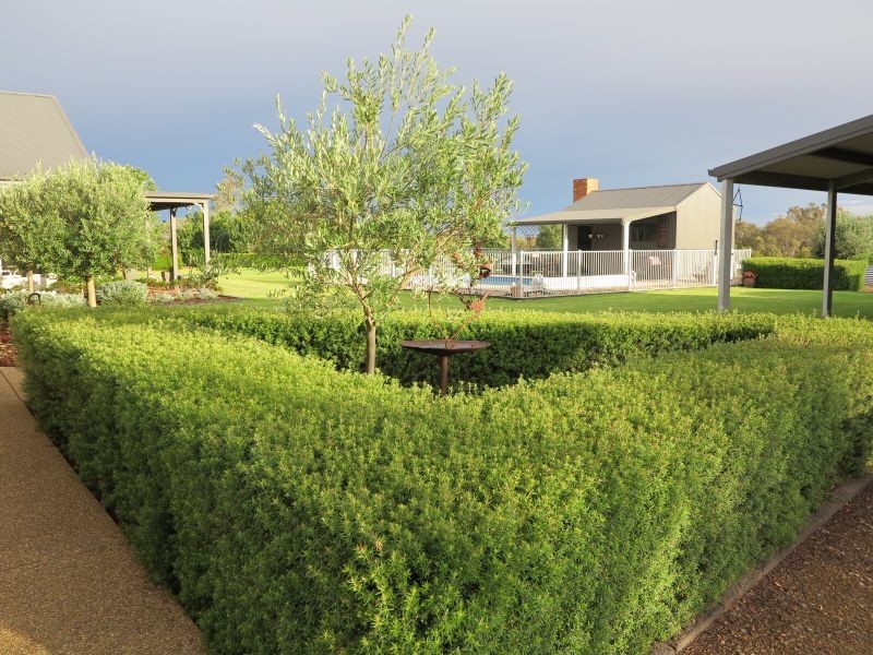 8 Kalmia Place, Springvale NSW 2650