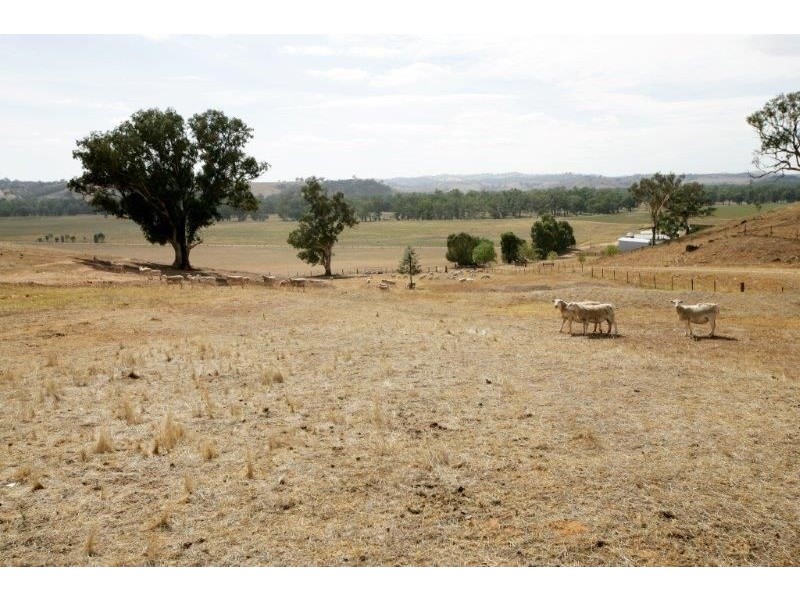 61 Merritts Road, Borambola, Wagga Wagga NSW 2650