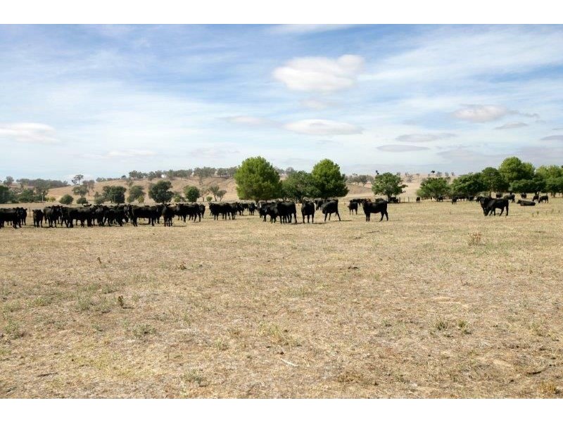 61 Merritts Road, Borambola, Wagga Wagga NSW 2650