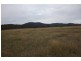 4212 Olympic Highway, The Rock NSW 2655