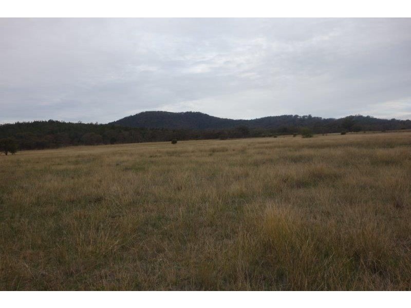 4212 Olympic Highway, The Rock NSW 2655