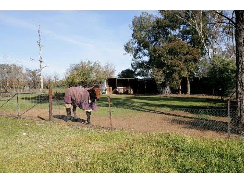 12 Brunskill Road, Lake Albert, Wagga Wagga NSW 2650