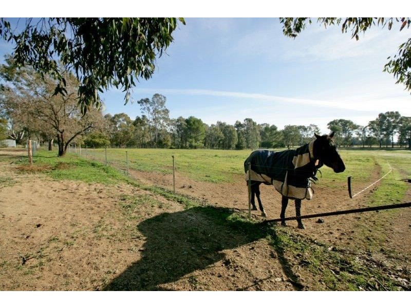 12 Brunskill Road, Lake Albert, Wagga Wagga NSW 2650