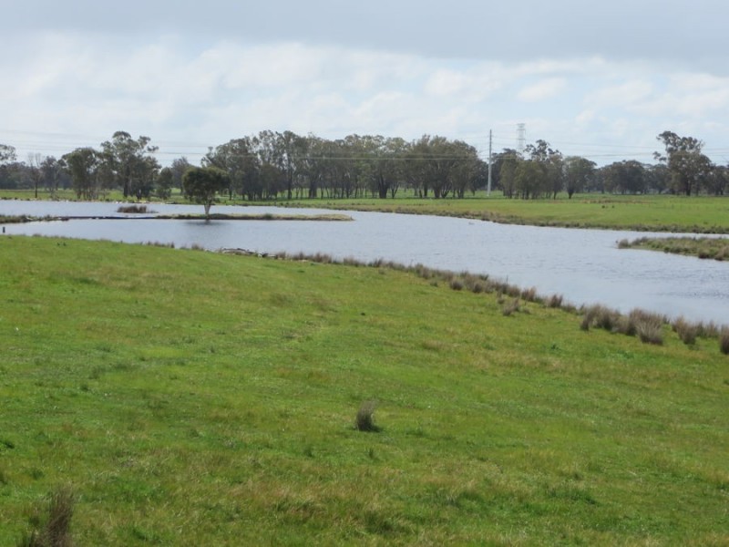 “Belhaven” Boiling Down Road, Lake Albert NSW 2650