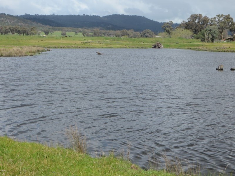 “Belhaven” Boiling Down Road, Lake Albert NSW 2650