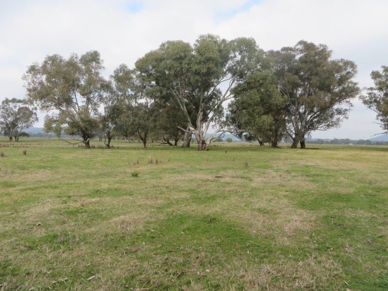 “Belhaven” Boiling Down Road, Lake Albert NSW 2650