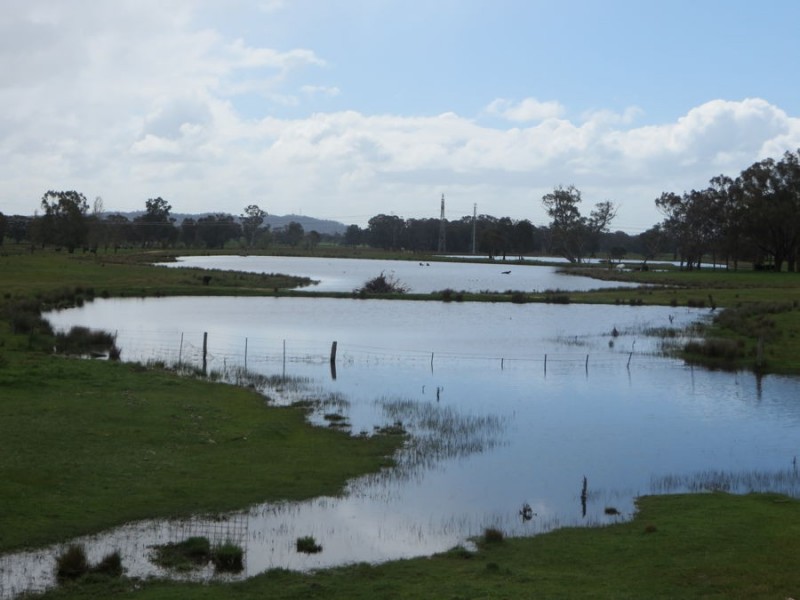 “Belhaven” Boiling Down Road, Lake Albert NSW 2650