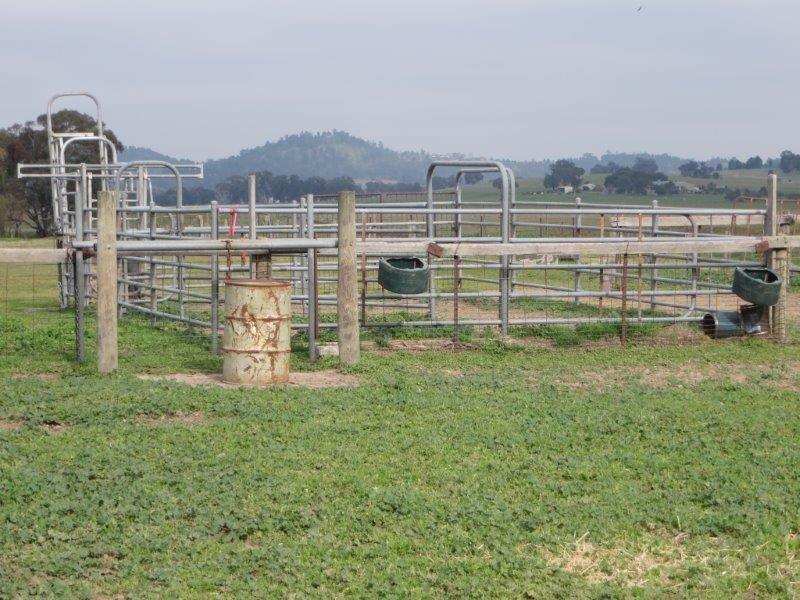 “Belhaven” Boiling Down Road, Lake Albert NSW 2650