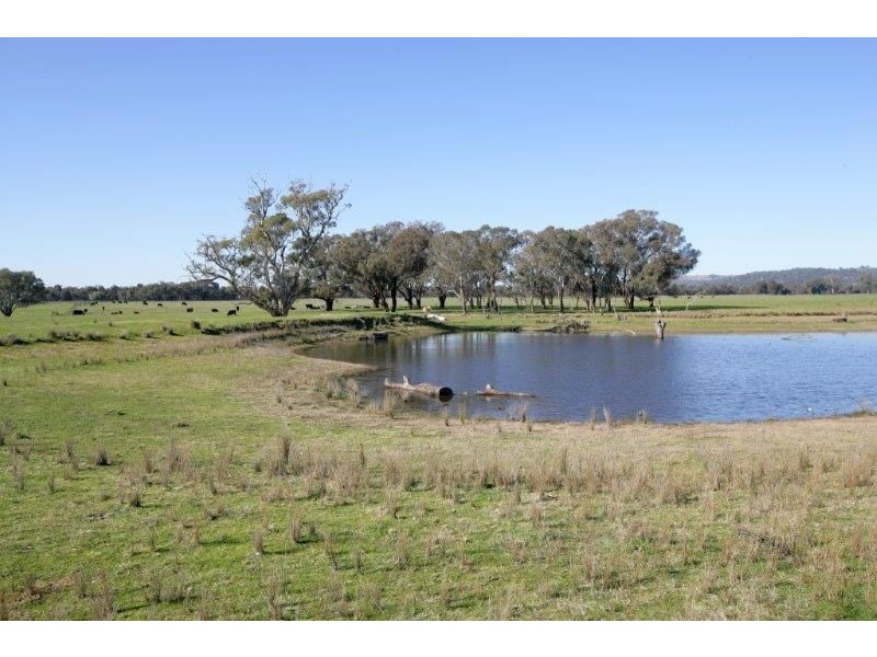 “Belhaven” Boiling Down Road, Lake Albert NSW 2650