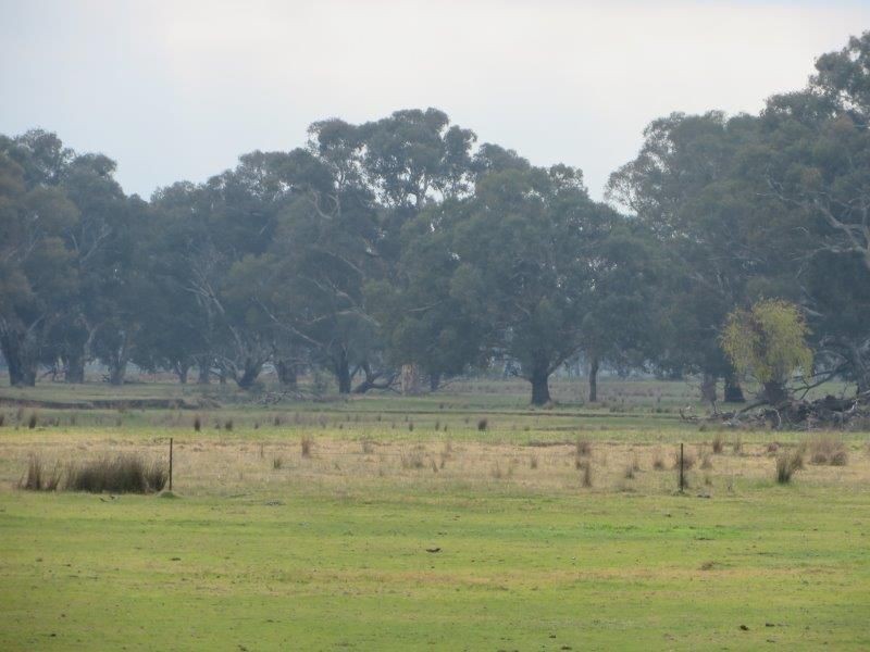 “Belhaven” Boiling Down Road, Lake Albert NSW 2650