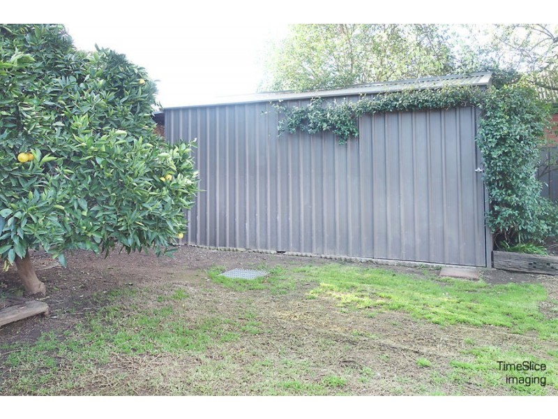 22 Halloran Street, Turvey Park NSW 2650