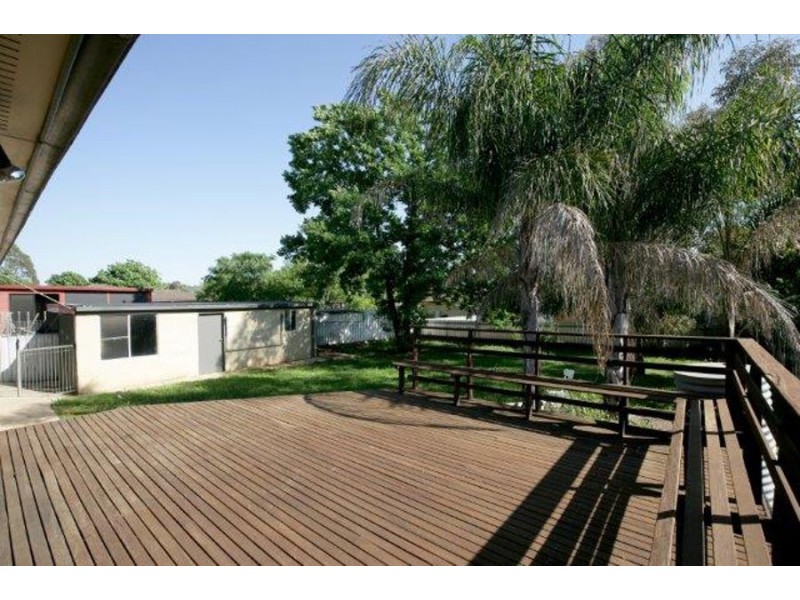 239 Fernleigh Road, Ashmont NSW 2650
