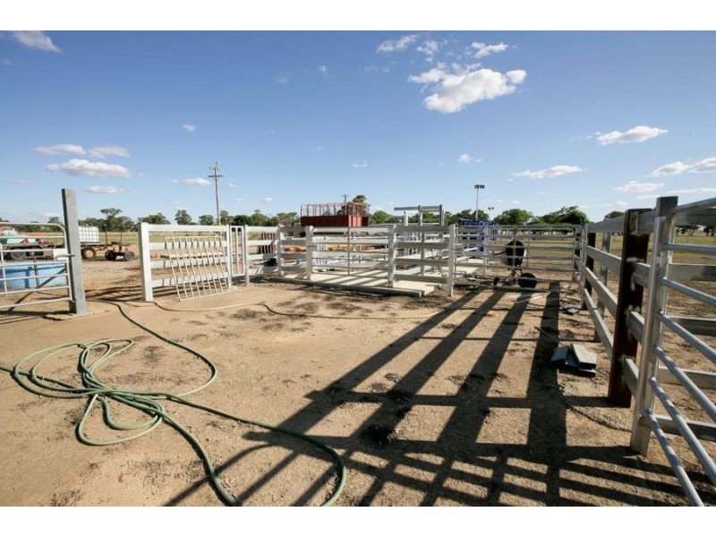 39 Creasys Lane, Mangoplah NSW 2652