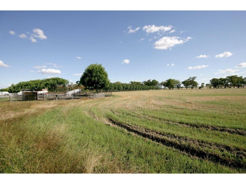 39 Creasys Lane, Mangoplah NSW 2652