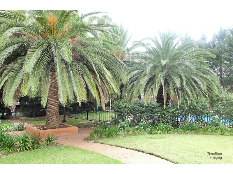 202-138 Tarcutta Street, Central, Wagga Wagga NSW 2650