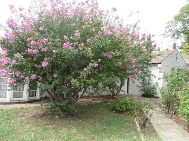 113 Morgan Street, Wagga Wagga NSW 2650