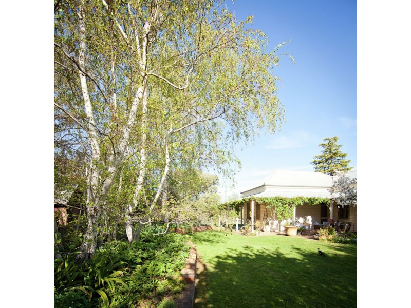 45 Taylor Road, Young NSW 2594