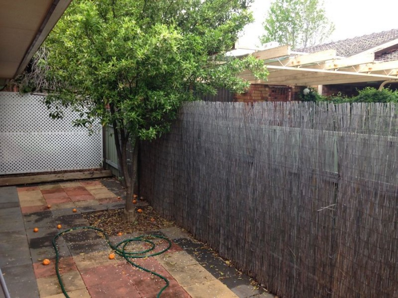 2/31 Kenneally Street, Kooringal NSW 2650