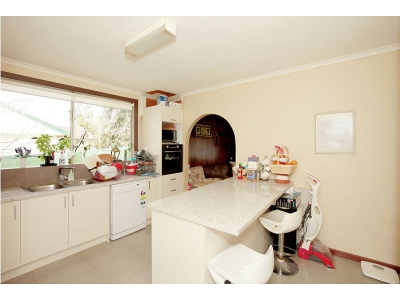 117 Meadow Street, Kooringal NSW 2650