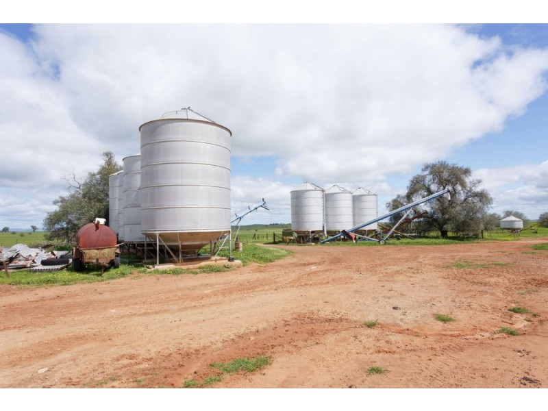 1147 Pattersons Road, Harefield NSW 2650