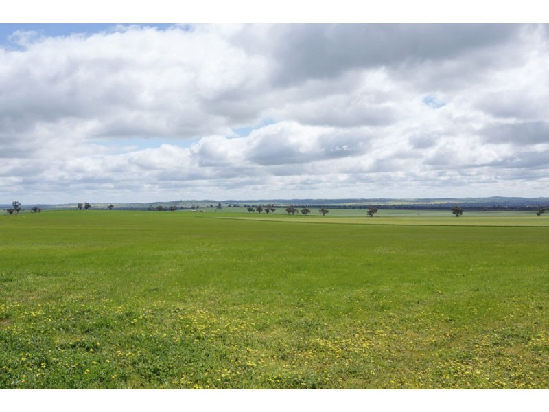 1147 Pattersons Road, Harefield NSW 2650