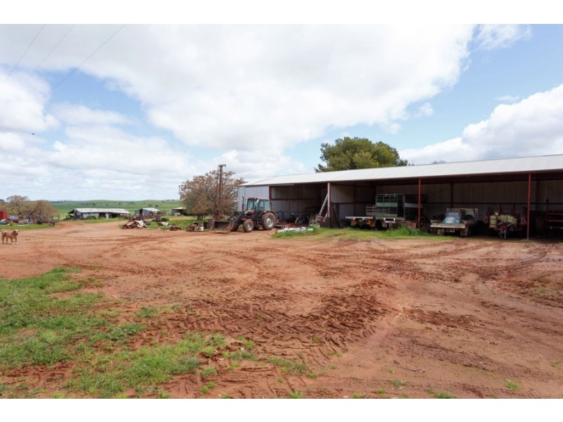 1147 Pattersons Road, Harefield NSW 2650