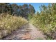 2150 Batlow Road, Tumbarumba NSW 2653