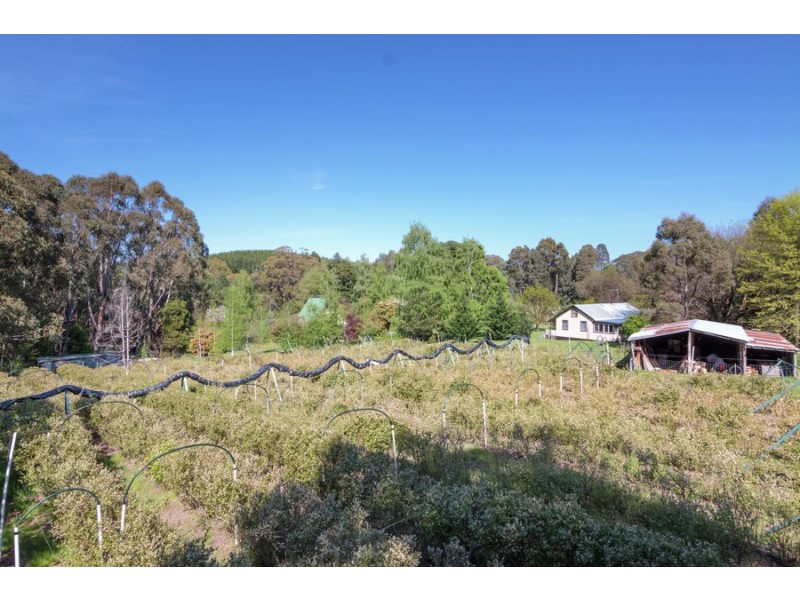 2150 Batlow Road, Tumbarumba NSW 2653