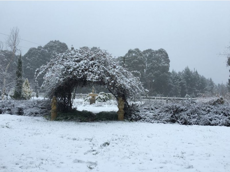 2150 Batlow Road, Tumbarumba NSW 2653