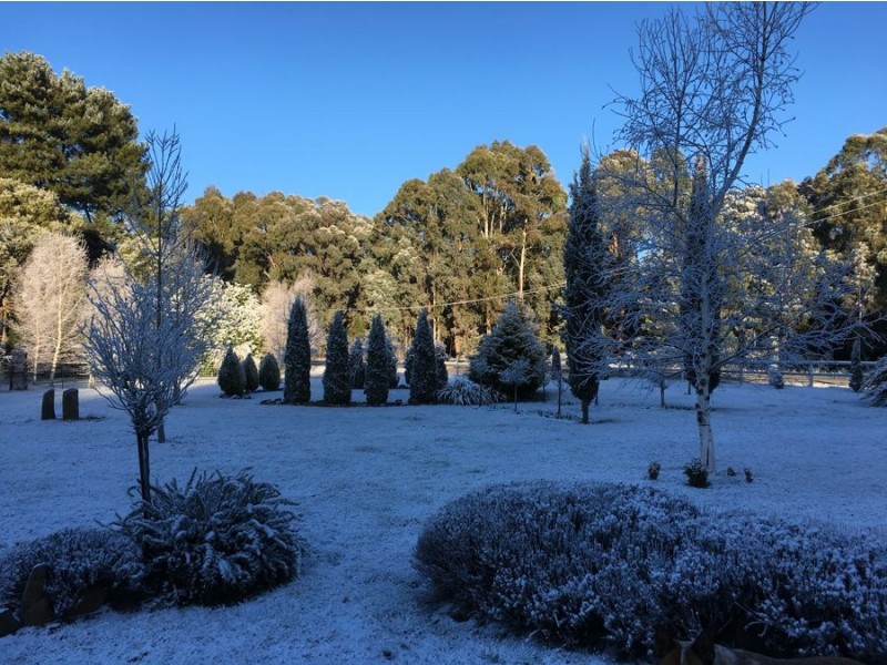 2150 Batlow Road, Tumbarumba NSW 2653