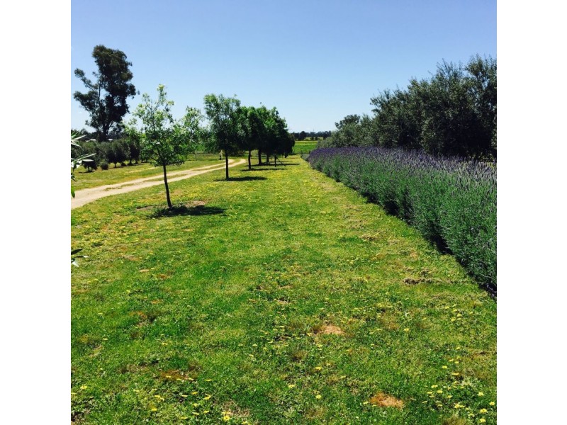 700 Galore Road, Galore NSW 2652