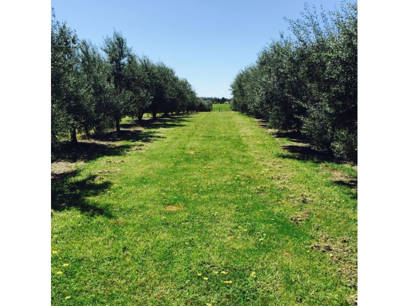 700 Galore Road, Galore NSW 2652