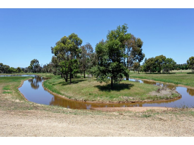 14 Burgan Drive, Springvale NSW 2650