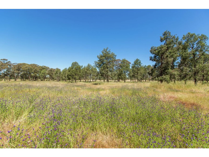 104 Wattle Lane, Coolamon NSW 2701