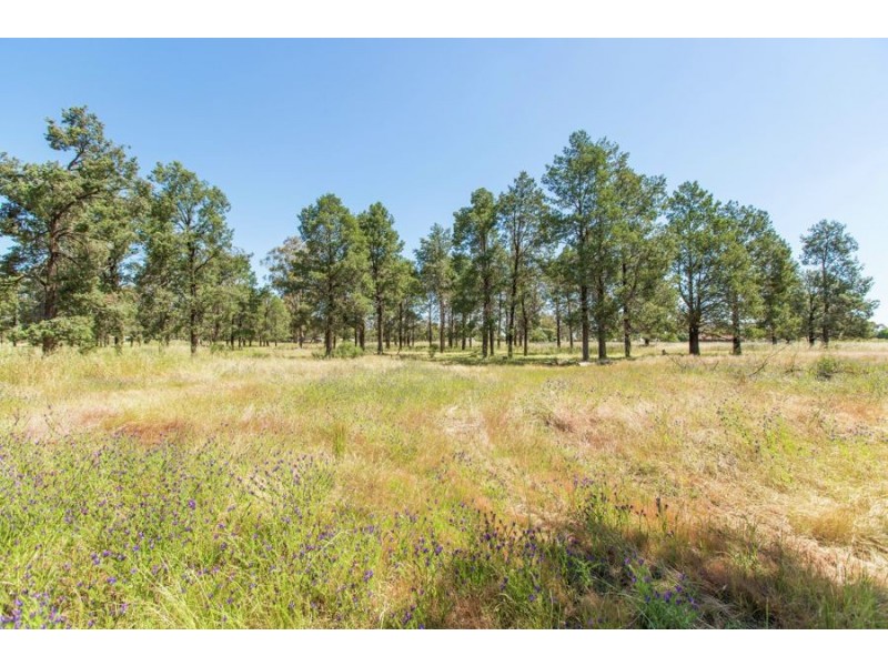 104 Wattle Lane, Coolamon NSW 2701