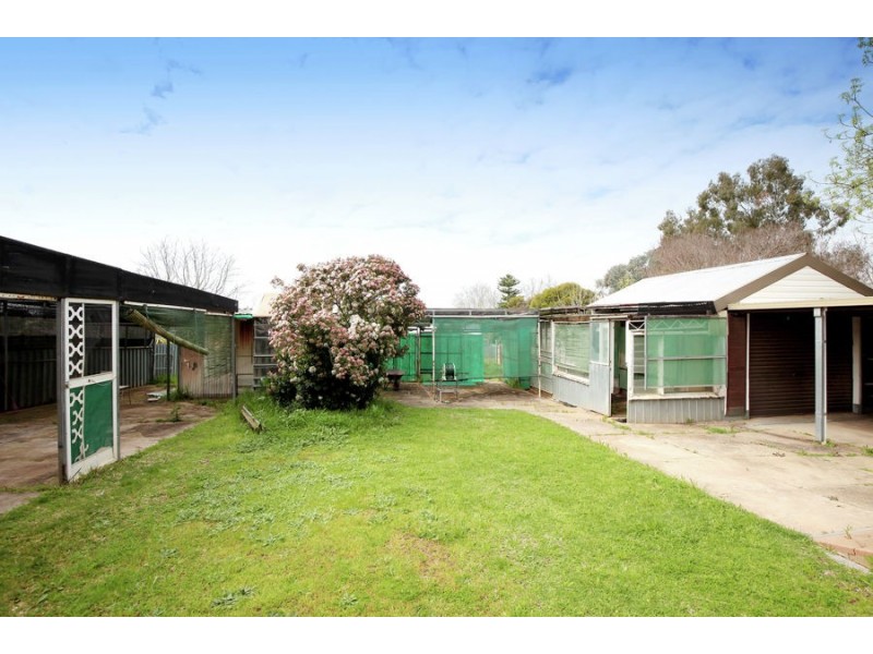 117 Meadow Street, Kooringal NSW 2650