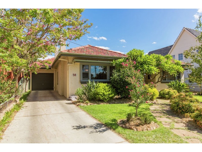 58 Coleman Street, Turvey Park NSW 2650