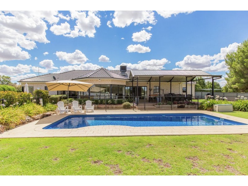 3 Mirbelia Drive, Springvale NSW 2650