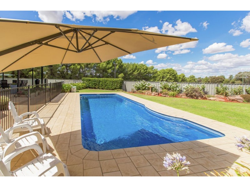 3 Mirbelia Drive, Springvale NSW 2650