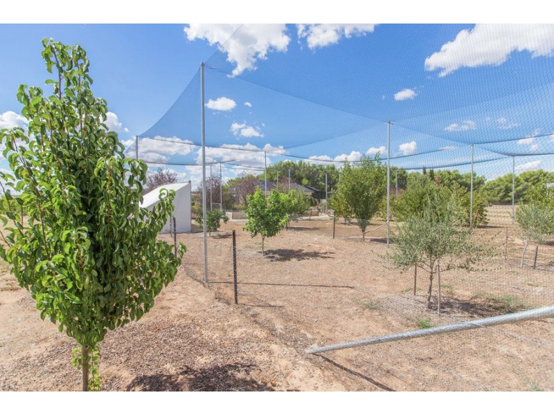 3 Mirbelia Drive, Springvale NSW 2650