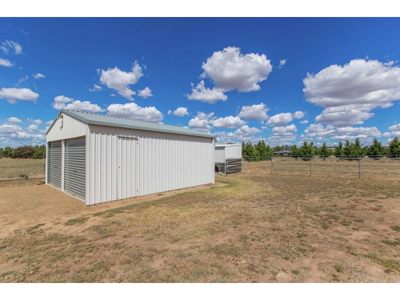 3 Mirbelia Drive, Springvale NSW 2650