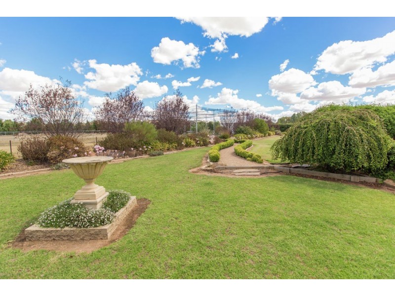 3 Mirbelia Drive, Springvale NSW 2650