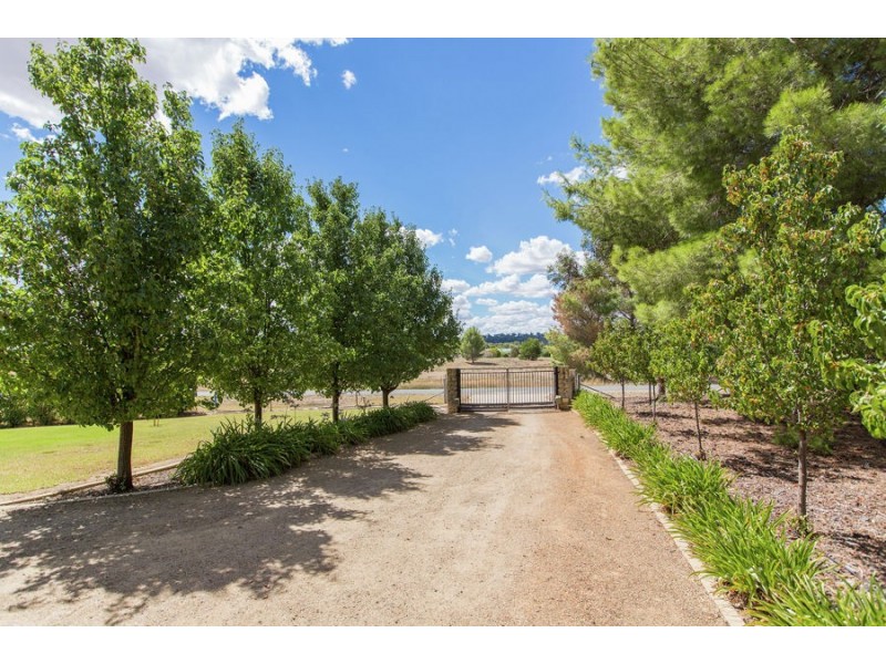 3 Mirbelia Drive, Springvale NSW 2650