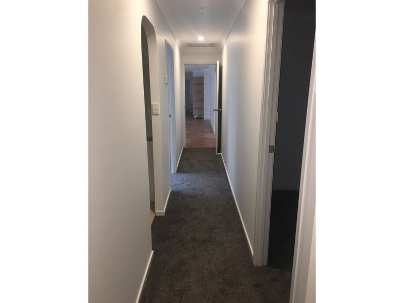 8 Randall Street, Kooringal NSW 2650