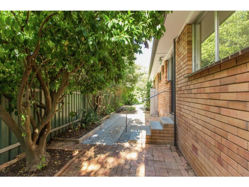 6 Tinga Crescent, Kooringal NSW 2650