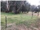 8 Sycamore Road, Lake Albert NSW 2650