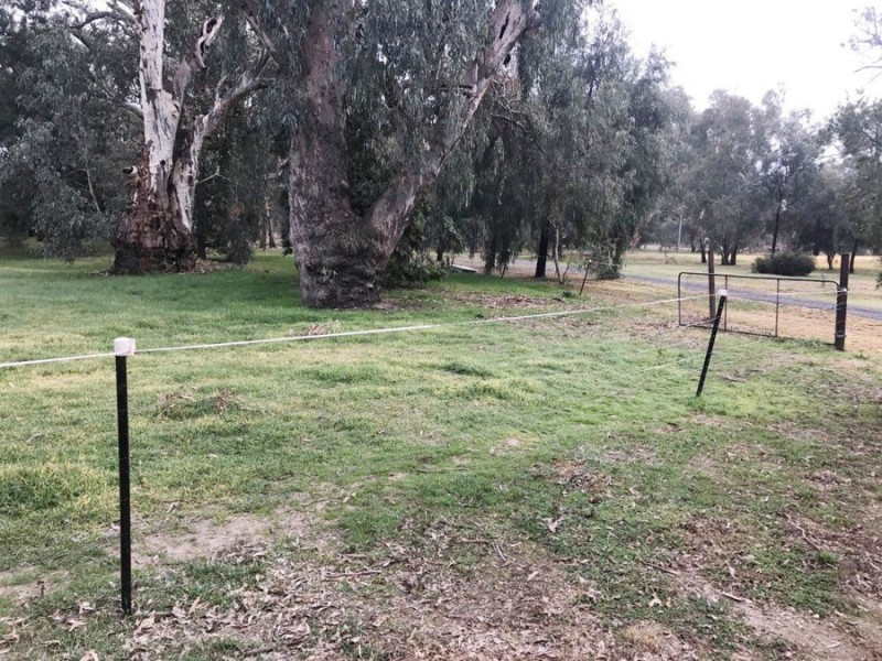 8 Sycamore Road, Lake Albert NSW 2650