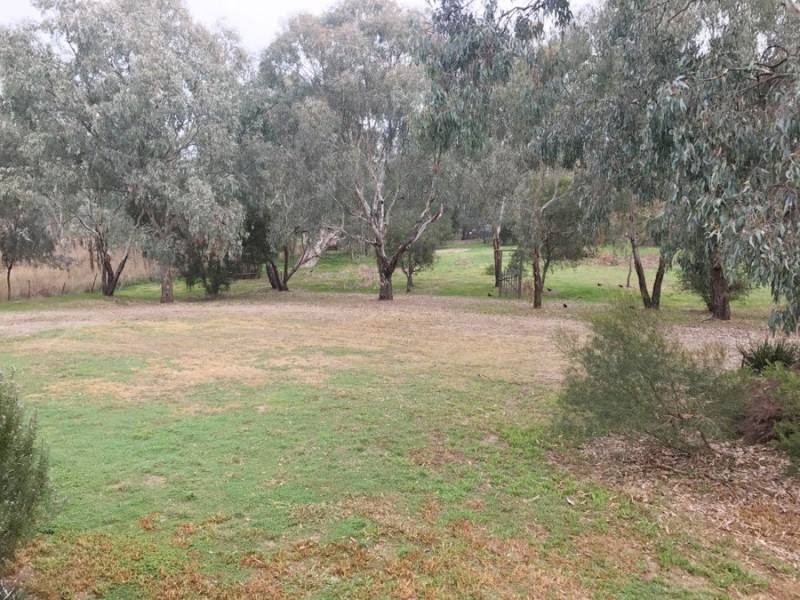 8 Sycamore Road, Lake Albert NSW 2650